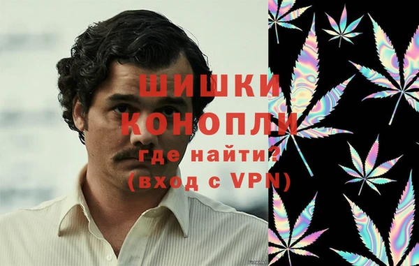 spice Зерноград
