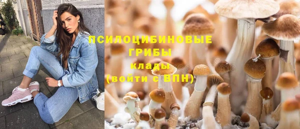 2c-b Ельня