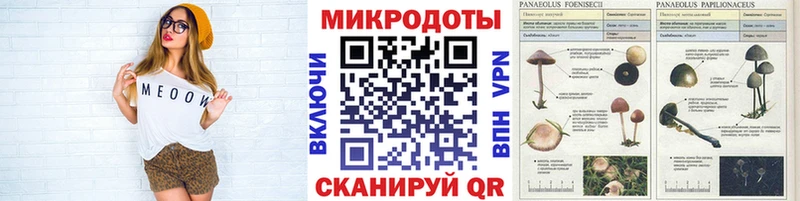 это Telegram  Севск  Галлюциногенные грибы Magic Shrooms 